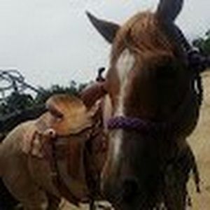 Meet your Posher, Grace